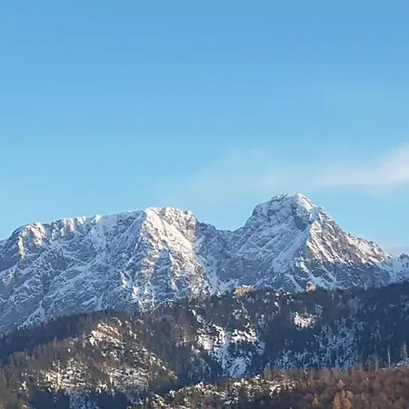 Podkowa Z Widokiem Na Giewont 公寓 考斯赛力克